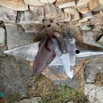 Hook Gut Knife