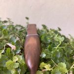 Sgian Dubh