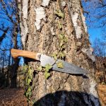 Coltello da Chef