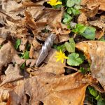 Collana artigianale con ciondolo “elicoidale”